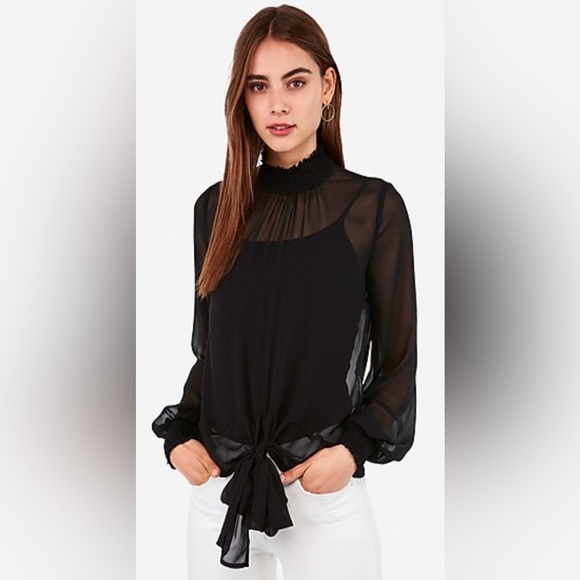 Elegant sheer Smocked Mock Neck Tie Front Top - Picture 1 of 5